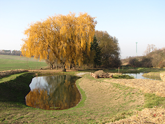 Podzimní pohled na tůně. Uprostřed fotografie je dokončený biotechnický objekt plazník.