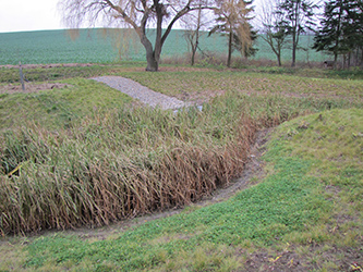 Rok po výstavbě je začínají tůně zarůstat vodní vegetací.