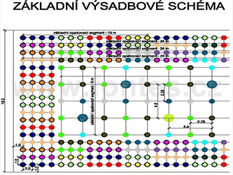 Výsadbové schéma – výřez